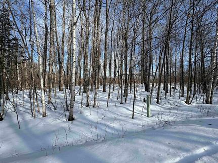 Property for sale in Iron County, Michigan