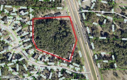 Undeveloped Land for sale in New Hanover County, North Carolina