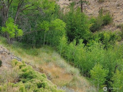Undeveloped Land for sale in Okanogan County, Washington