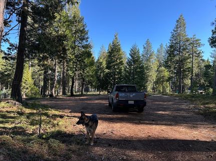 Undeveloped Land for sale in Amador County, California