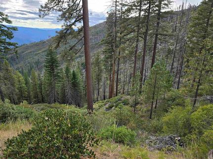 Property for sale in Siskiyou County, California