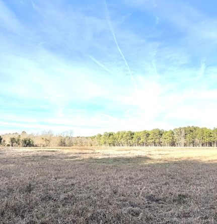 Property for sale in Orangeburg County, South Carolina