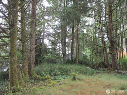 Property for sale in Grays Harbor County, Washington