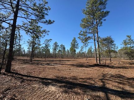 Undeveloped Land for sale in Emanuel County, Georgia