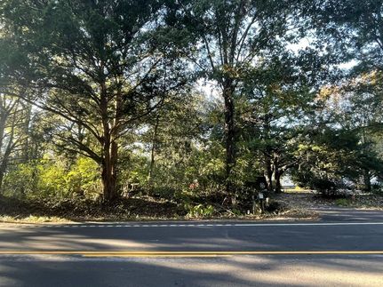 Undeveloped Land for sale in Charleston County, South Carolina