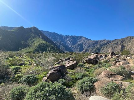 Undeveloped Land for sale in Riverside County, California