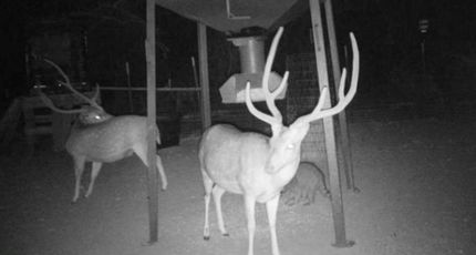 Property for sale in Edwards County, Texas