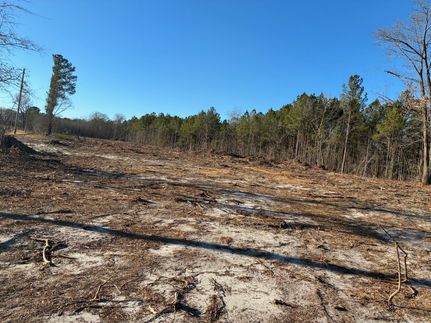 Property for sale in Marlboro County, South Carolina