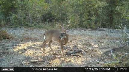 Property for sale in Decatur County, Georgia