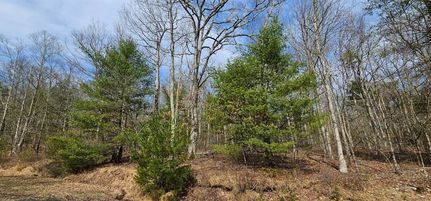 Undeveloped Land for sale in Sullivan County, New York