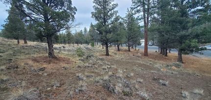 Undeveloped Land for sale in Siskiyou County, California