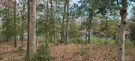 Property for sale in Accomack County, Virginia