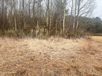 Residential Property for sale in Perquimans County, North Carolina