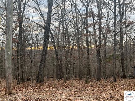 Property for sale in Benton County, Missouri