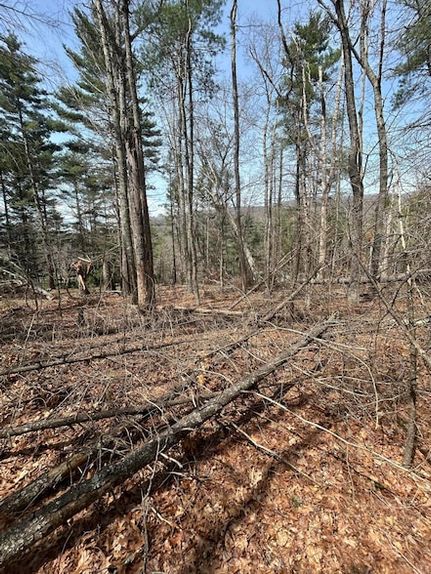 Property for sale in Monroe County, West Virginia