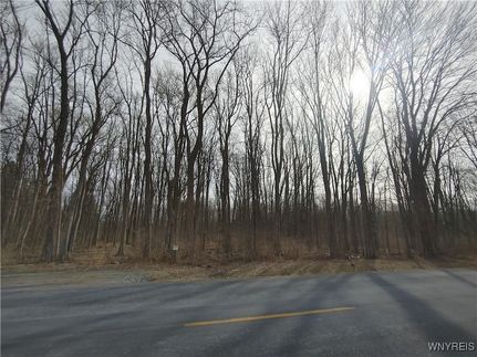 Property for sale in Orleans County, New York