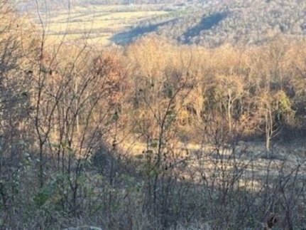 Property for sale in Stone County, Arkansas