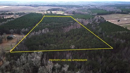 Timberland Property for sale in Orangeburg County, South Carolina