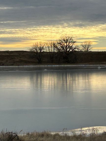 Hunting Land for sale in Morgan County, Colorado