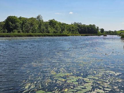 Lakefront Property for sale in Otter Tail County, Minnesota