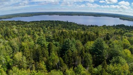 Undeveloped Land for sale in Washington County, Maine