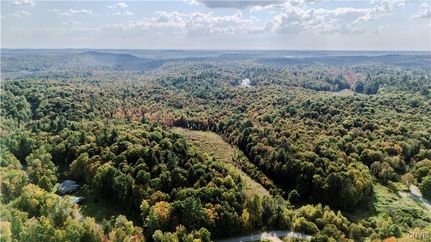 Undeveloped Land for sale in Lewis County, New York
