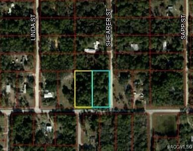 Undeveloped Land for sale in Levy County, Florida