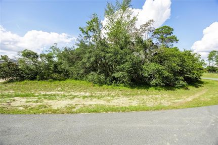 Undeveloped Land for sale in Marion County, Florida