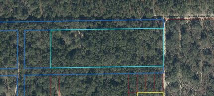 Undeveloped Land for sale in Levy County, Florida