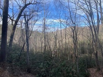 Property for sale in Graham County, North Carolina