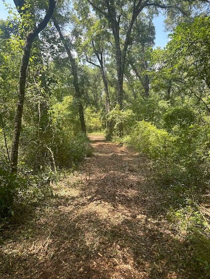 Property for sale in Leon County, Florida