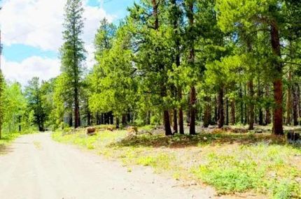 Undeveloped Land for sale in Gilpin County, Colorado