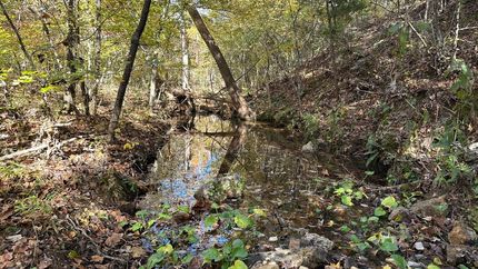 Recreational Property for sale in Sharp County, Arkansas