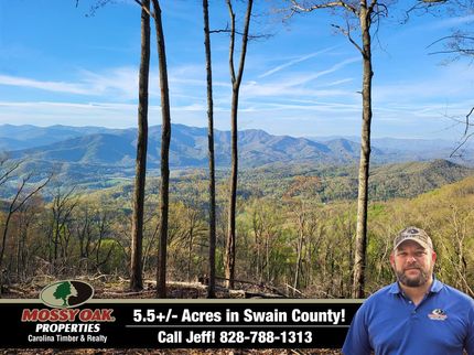 Farm Property for sale in Swain County, North Carolina