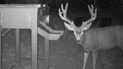 Property for sale in San Juan County, Utah