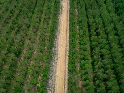 Timberland Property for sale in Horry County, South Carolina