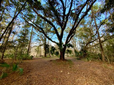 Riverfront Property for sale in Jefferson County, Florida