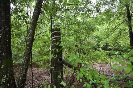 Recreational Property for sale in Columbia County, Arkansas