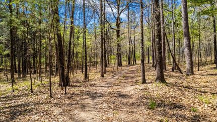 Hunting Land for sale in Drew County, Arkansas