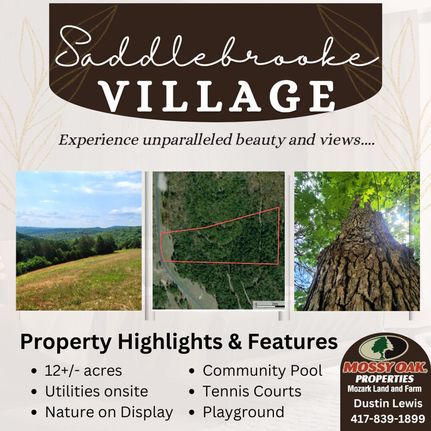 Undeveloped Land for sale in Christian County, Missouri