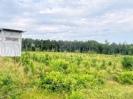 Property for sale in Nevada County, Arkansas