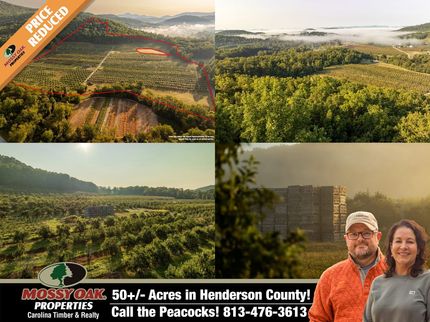 Farm Property for sale in Henderson County, North Carolina
