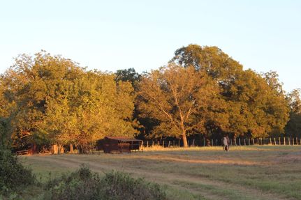 Recreational Property for sale in Coryell County, Texas