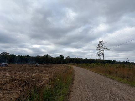 Property for sale in Morehouse Parish, Louisiana