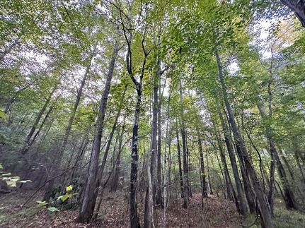 Property for sale in Hale County, Alabama