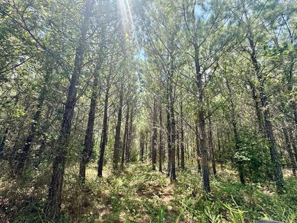 Property for sale in Hale County, Alabama