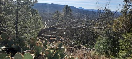 Property for sale in Yavapai County, Arizona