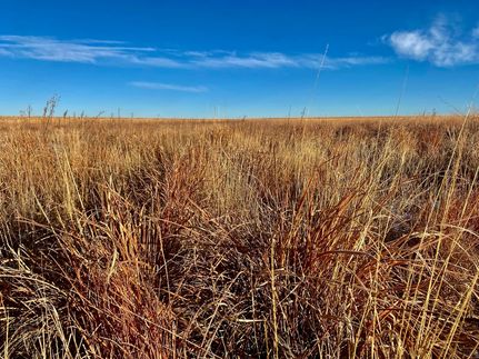 Hunting Land for sale in Hamilton County, Kansas