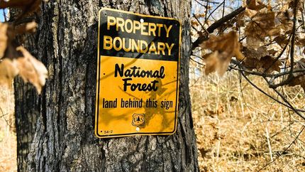 Timberland Property for sale in Lee County, Arkansas