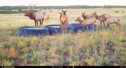 Hunting Land for sale in Pueblo County, Colorado